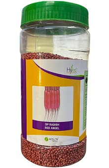 Acsen Hyveg Red Angel OP Radish Seeds – 500g | High‑Yield Open Pollinated Variety