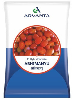 Advanta Abhimanyu F1 Hybrid Tomato Seeds – 10g | High‑Yield Red Tomato Variety