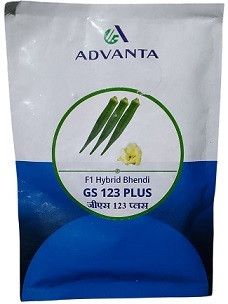 Advanta GS 123 Plus F1 Hybrid Bhendi Seeds – 100g | High‑Yield Okra Variety