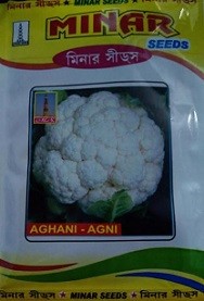 MINAR AGNI Cauliflower Vegetable Seeds