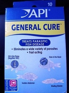 Buy API General Cure Indohobby.Com