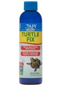 API Turtle Fix 