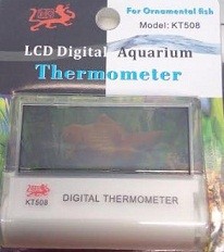 Transparent Digital Thermometer
