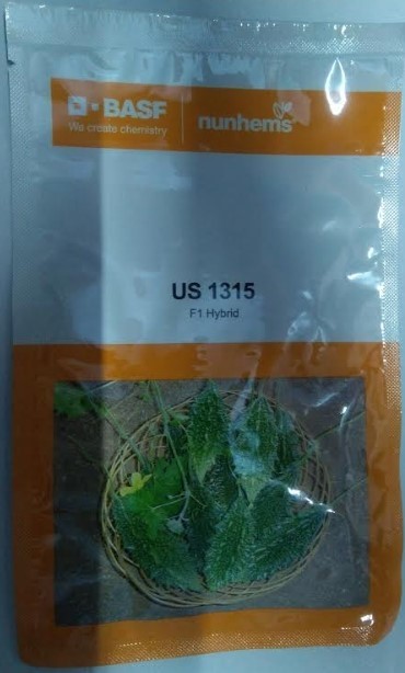 BASF nunhems US 1315 F1 Hybrid Bitter Gourd Seeds