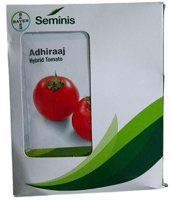 Bayer Seminis Adhiraaj Hybrid Tomato Seeds – 3500 Seeds | High‑Yield Red Tomato Variety