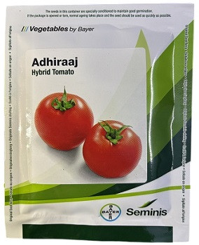Bayer Seminis Adhiraaj Hybrid Tomato Seeds – 3500 Seeds | High‑Yield Red Tomato Variety