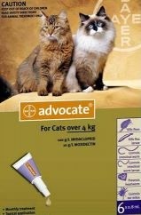 Bayer Advocate Cats Spot On
