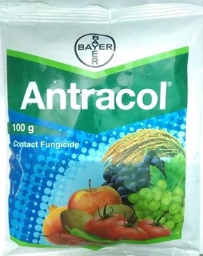 BAYER Antracol Fungicide