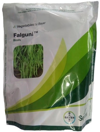 BAYER Seminis FALGUNI Beans Hybrid Seed
