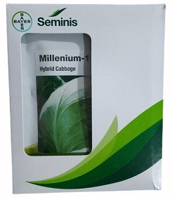 Bayer Seminis Millenium 111 Hybrid Cabbage Seeds – 20g | High‑Yield Green Cabbage Variety