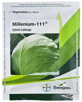 Bayer Seminis Millenium 111 Hybrid Cabbage Seeds – 20g | High‑Yield Green Cabbage Variety