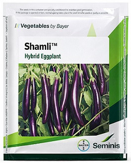 Bayer Seminis Shamli Hybrid Brinjal Seeds – 40g | High‑Yield Long Purple Variety