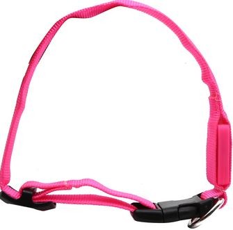 Dog Nylon Collar