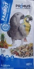 Benelux Primus Parrot 