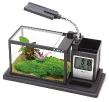 BOYU Desk Top LED Holder Aquarium