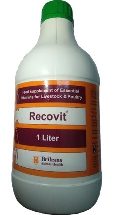 Brihans Recovit 