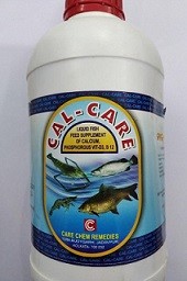 CALCARE 