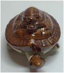 Ceramic Simulation Tortoise Ornaments