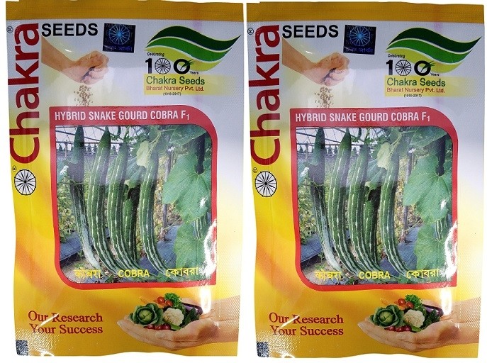 Chakra Snake Gourd Cobra F1 Hybrid Seeds