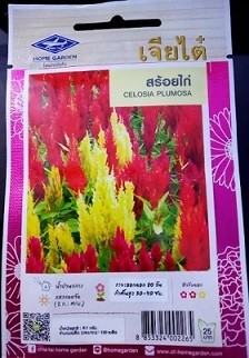 Chia Tai Home Garden Celosia Plumosa Seeds