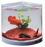 Dophin Acrylic Betta Aquarium Tank