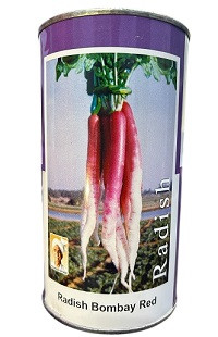 Durga Bombay Hybrid Half Red Radish Seeds – 500g | High‑Yield Red & White Radish Variety