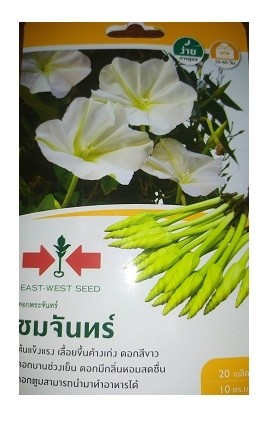 East West Seed Ipomoea Alba White Moonflower Vine Seeds