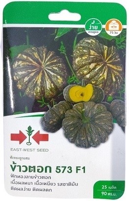 East West Seed Hybrid Pumpkin Rice Flour 573 F1 Seeds