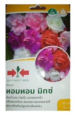 East West Seed Thai Tom Tom Dopati Balsam Flower Seeds