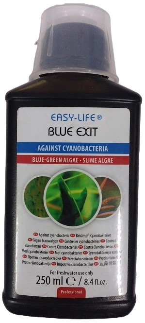 Easy Life Blue Exit