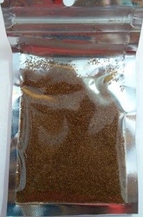 Glossostigma Elatinoides Seeds 