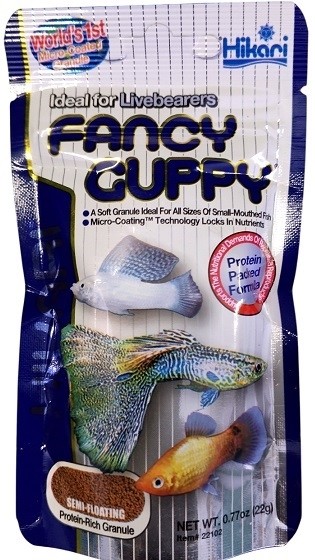 Hikari Fancy Guppy