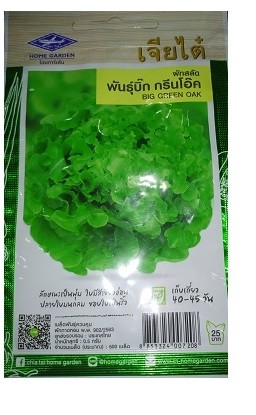 Chia Tai Home Garden Big Green Oak Lettuce Seeds