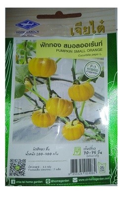 Chia Tai Home Garden Pumpkin Small Orange Seeds