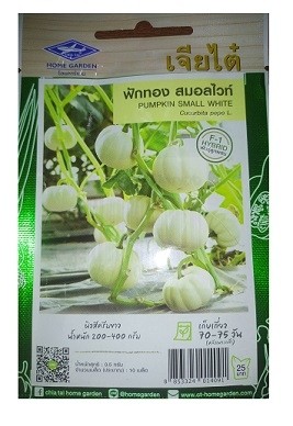 Chia Tai Home Garden Pumpkin Small White Seeds