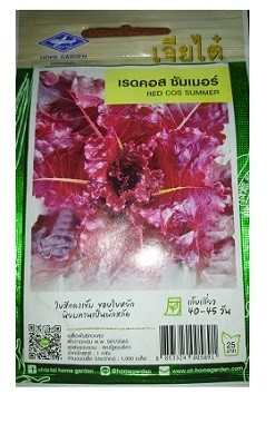 Chia Tai Home Garden Red Cos Summer Lettuce Seeds
