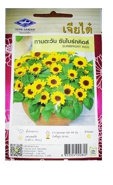 Chia Tai Home Garden Sunbright Kids Sunflower Seeds