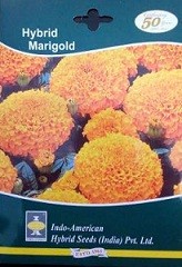 Hybrid Inca Orange Marigold Flower Seeds