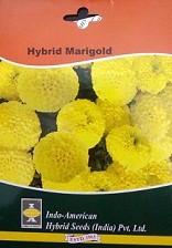 Hybrid Marvel Yellow Marigold Flower Seeds