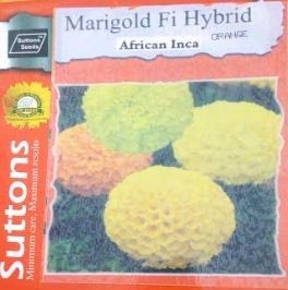 Hybrid AFRICAN INCA Marigold Flower Seeds