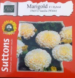 Hybrid VANILLA Marigold Flower Seeds