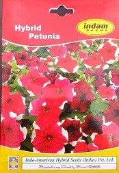 Hybrid Petunia Flower Seeds