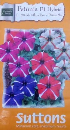 Hybrid Petunia Flower Seeds