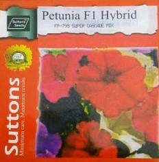 Hybrid Petunia Flower Seeds