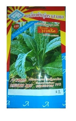 Triple A Dinosaur Kale Gardening Seeds