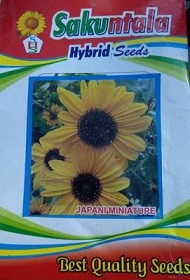 JAPANI MINI Sunflower Seeds