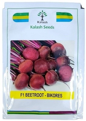 Kalash Seeds F1 Bikores Hybrid Beetroot Seeds – High Yield, Deep Red Roots, Sweet Flavor