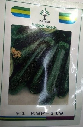 Kalash Seeds F1 KSP 119 Long Dark Green Zucchini Squash