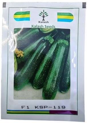 Kalash Seeds F1 KSP 119 – Long Dark Green Zucchini Squash Seeds (30gm Pack)