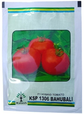 Kalash Seeds F1 KSP 1306 Bahubali Hybrid Tomato Seeds – High-Yielding, Virus-Resistant F1 Variety for All Seasons